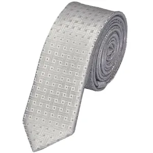 Classy Men Skinny Silver Tie