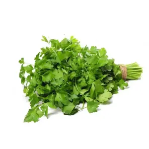 Fresh Dhaniya (Coriander leaves)