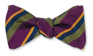 Purple/Olive Bruton Stripes Bow Tie - B5558